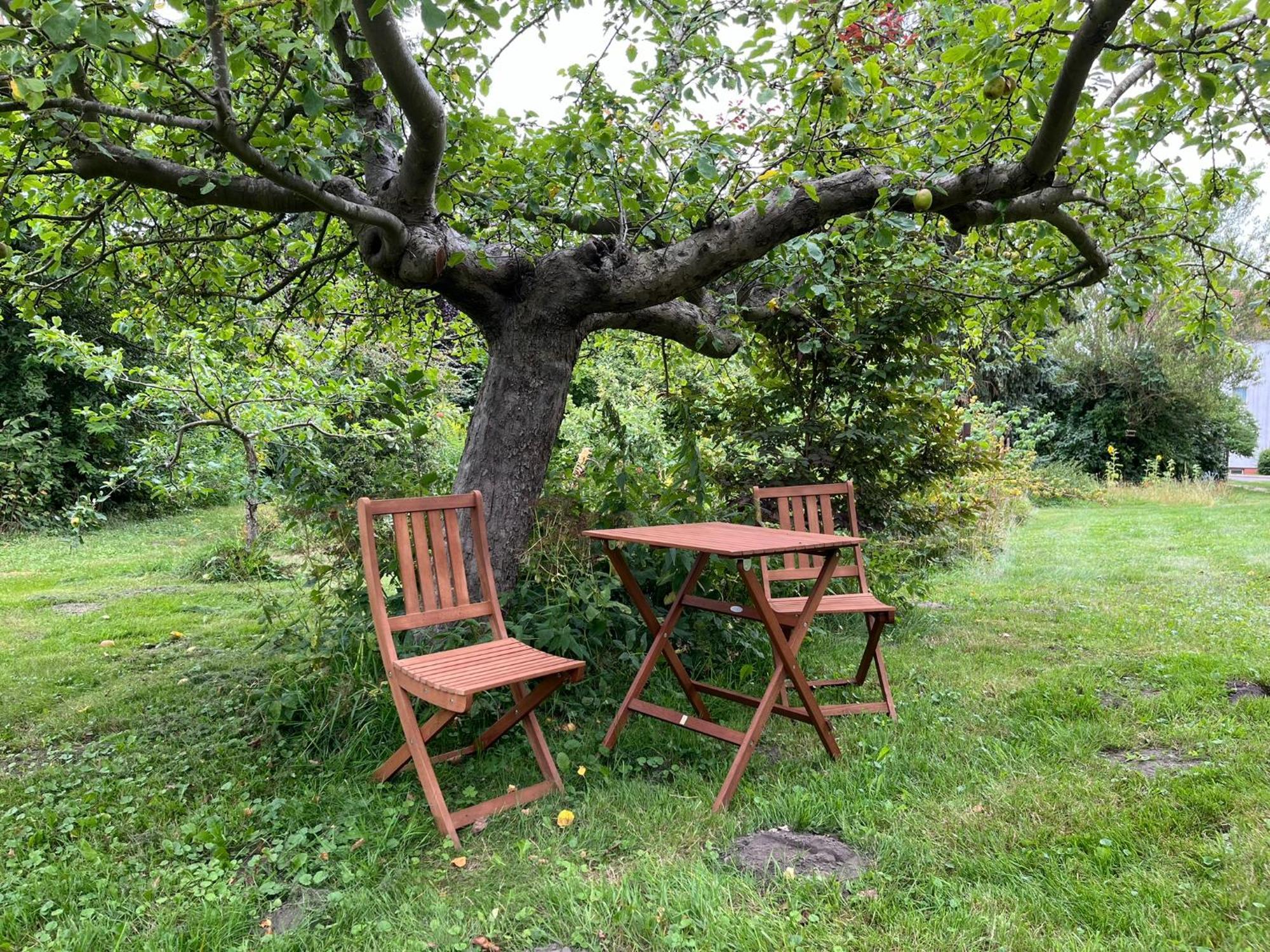 Alte Baeckerei Gnade Auf Ruegen Daire Sehlen Dış mekan fotoğraf